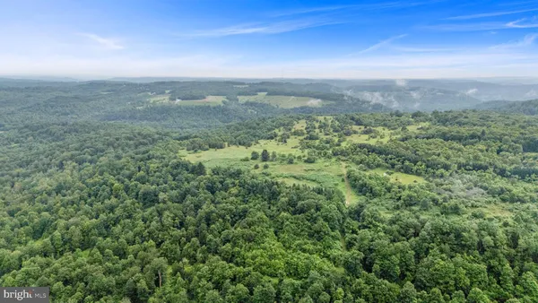 a view of a lush green forest with trees and some houses