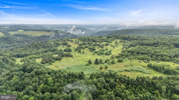 an aerial view of houses covered in trees