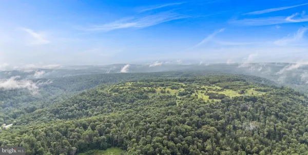 a view of a garden with a flower in a yard