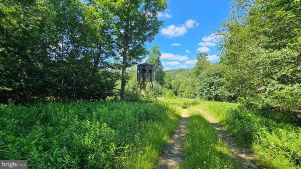 $950,000 | 327.9-acres Mahaffey Grampian Highway, Mahaffey, PA 15757