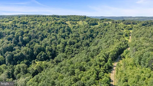 a view of a yard with a house