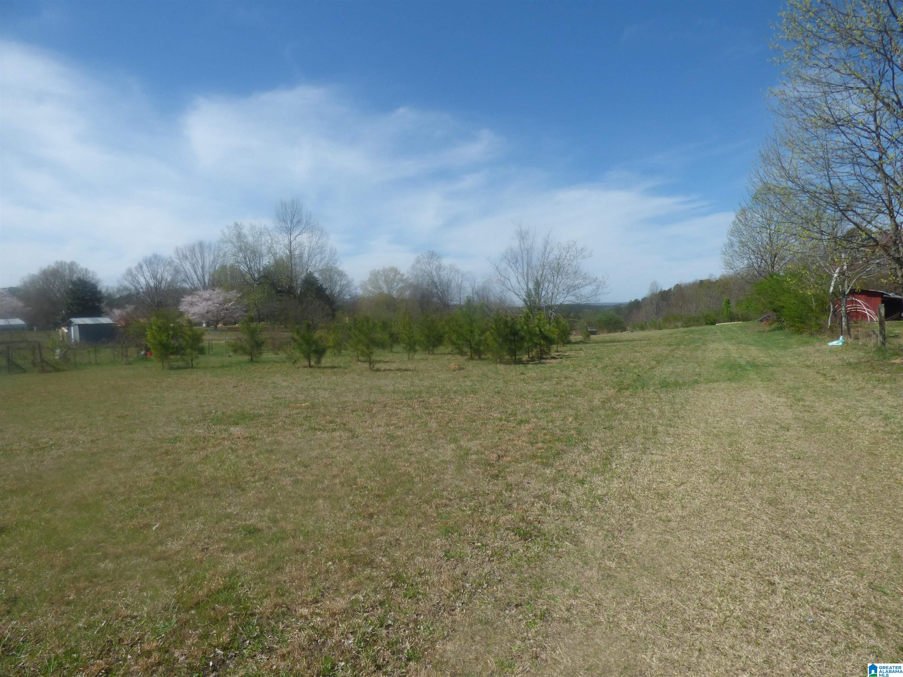 114 Haynes Road Altoona, AL 35952 - Photo 46 of 49