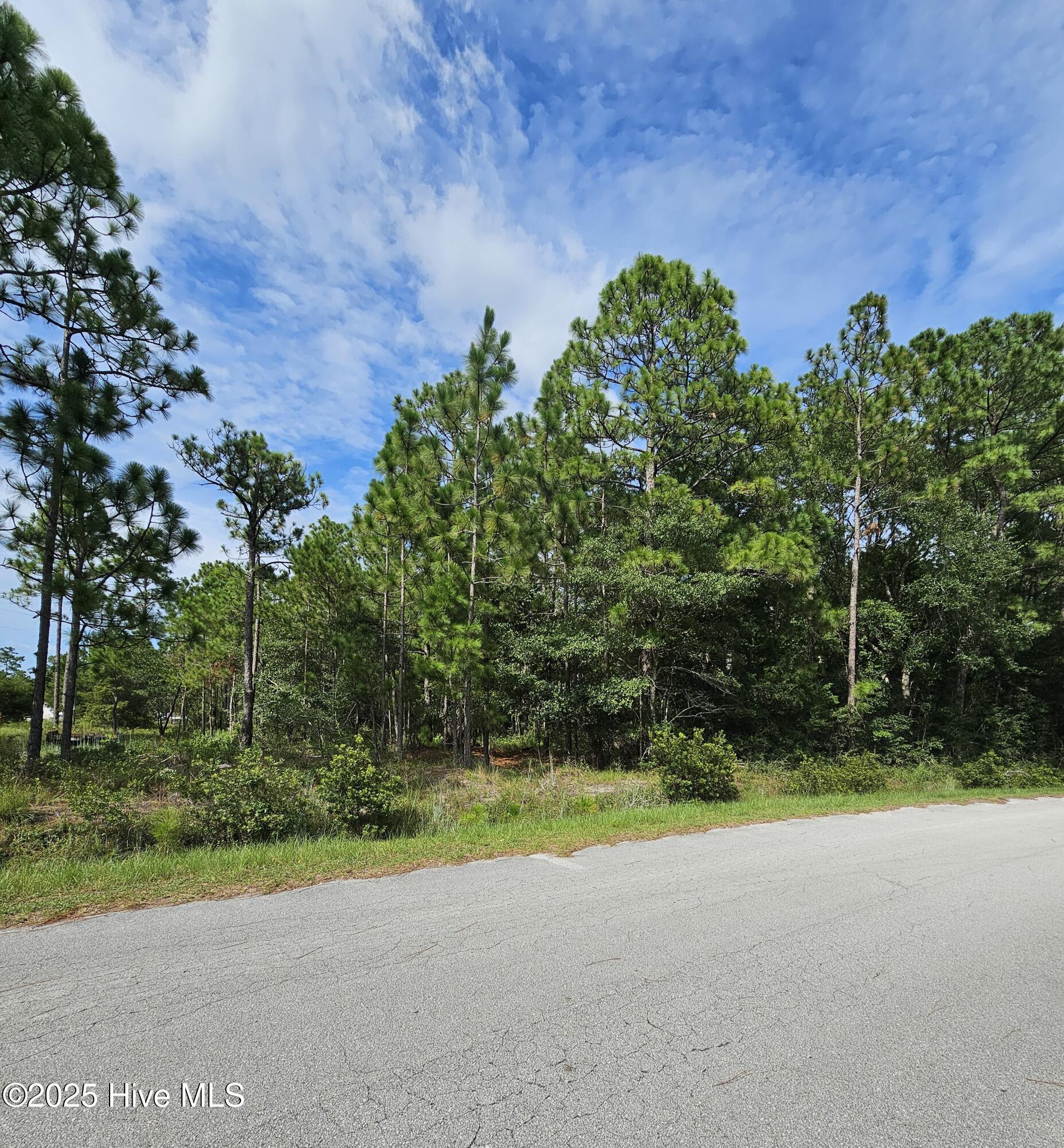 9001 Wilmington Highway Holly Ridge, NC 28445 - Photo 11 of 15 20250802_161609