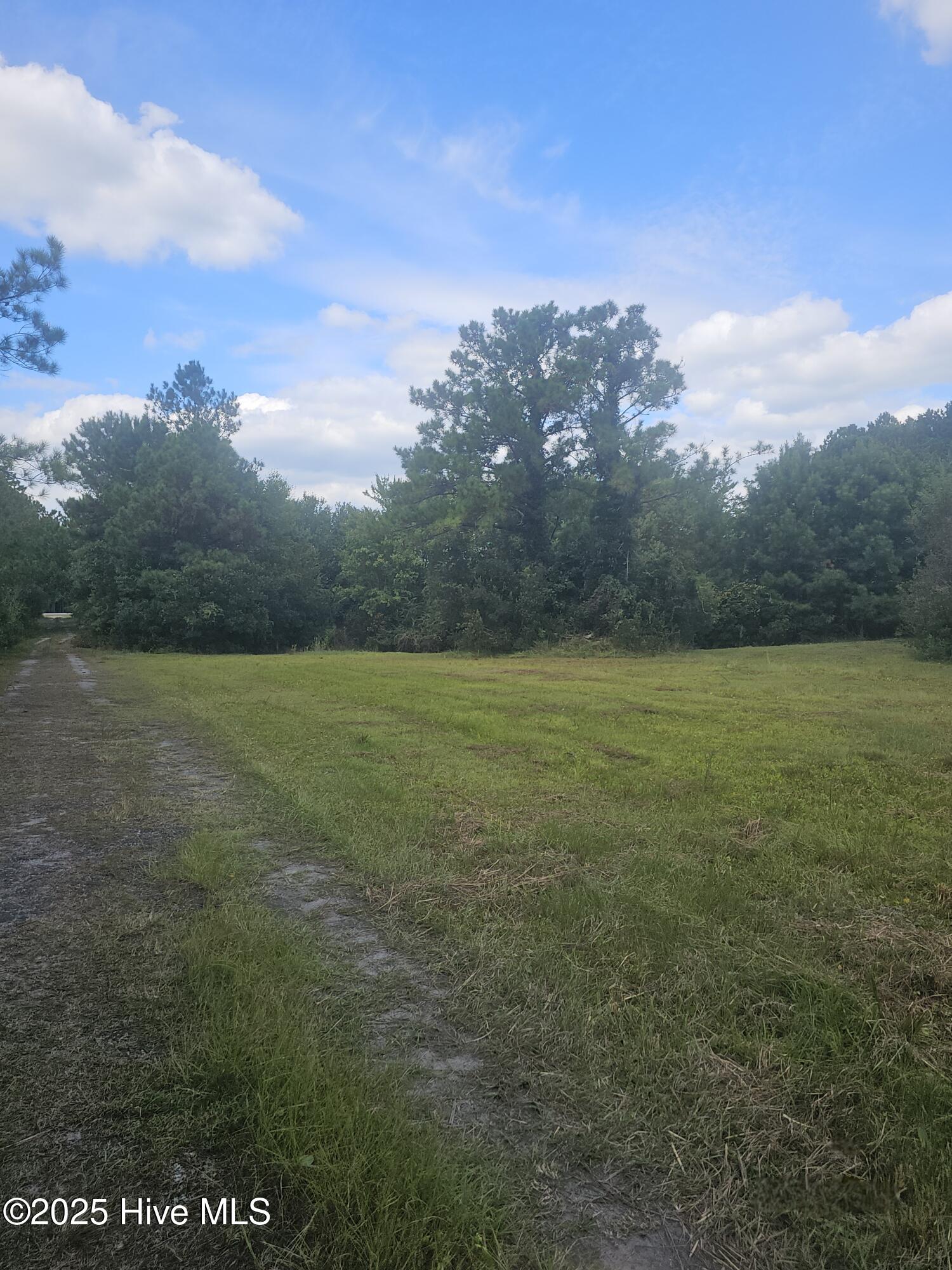 9001 Wilmington Highway Holly Ridge, NC 28445 - Photo 4 of 15 20250912_135006