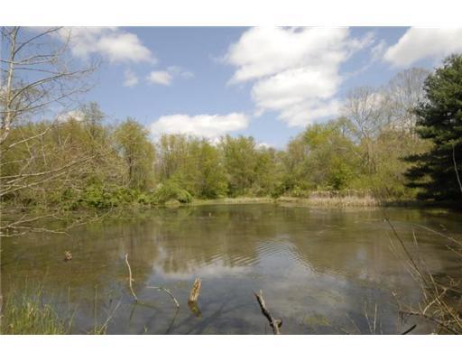 335-337 Shady Road Smithfield, PA 15478 - Photo 16 of 18 Yard/Garden. Pond
