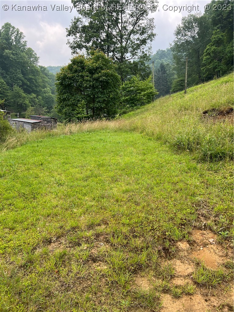 2 Bender Town Road Hacker Valley, WV 26222 - Photo 6 of 31 Gallery Image 6