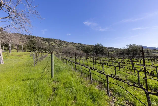 $6,900,000 | 2300 Old Soda Springs Road, Napa, CA 94558