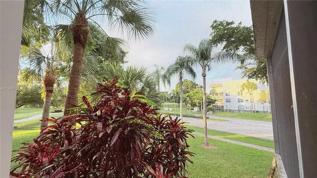 a view of a yard with a tree