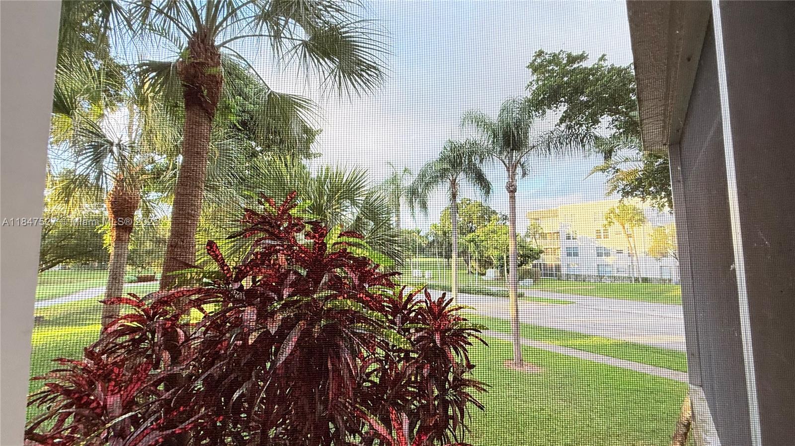 1811 Sabal Palm Drive, Unit 208 Davie, FL 33324 - Photo 13 of 32 a view of a yard with a tree