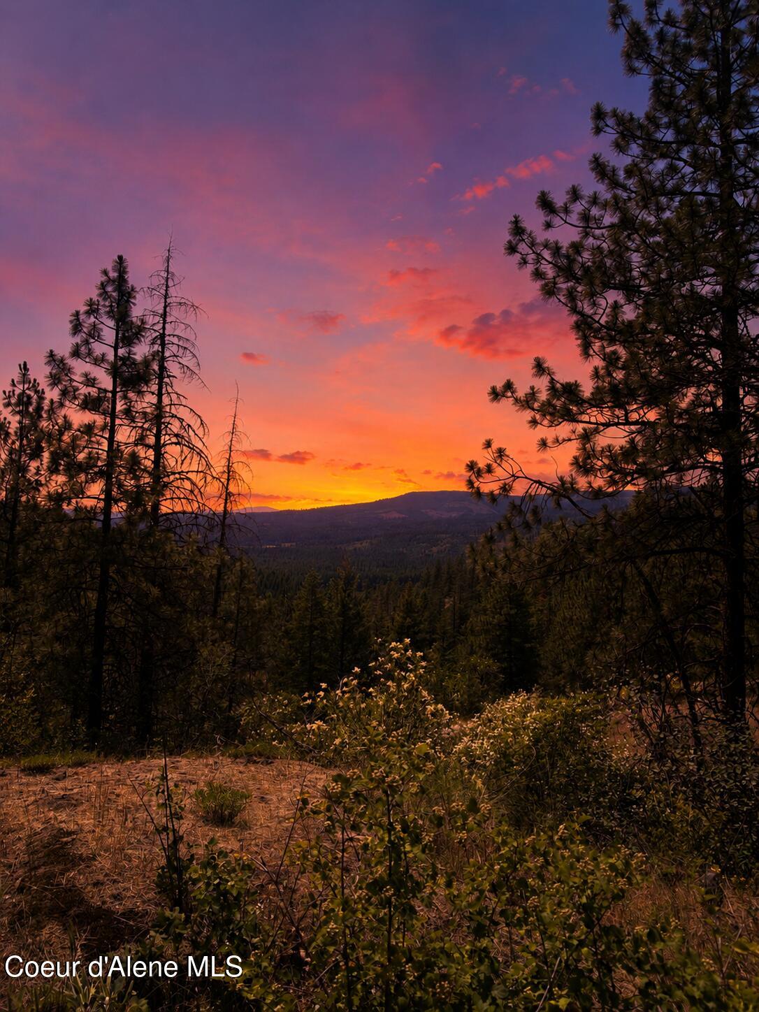 Nna Dunromin Road Priest River, ID 83856 - Photo 2 of 23 Twilight