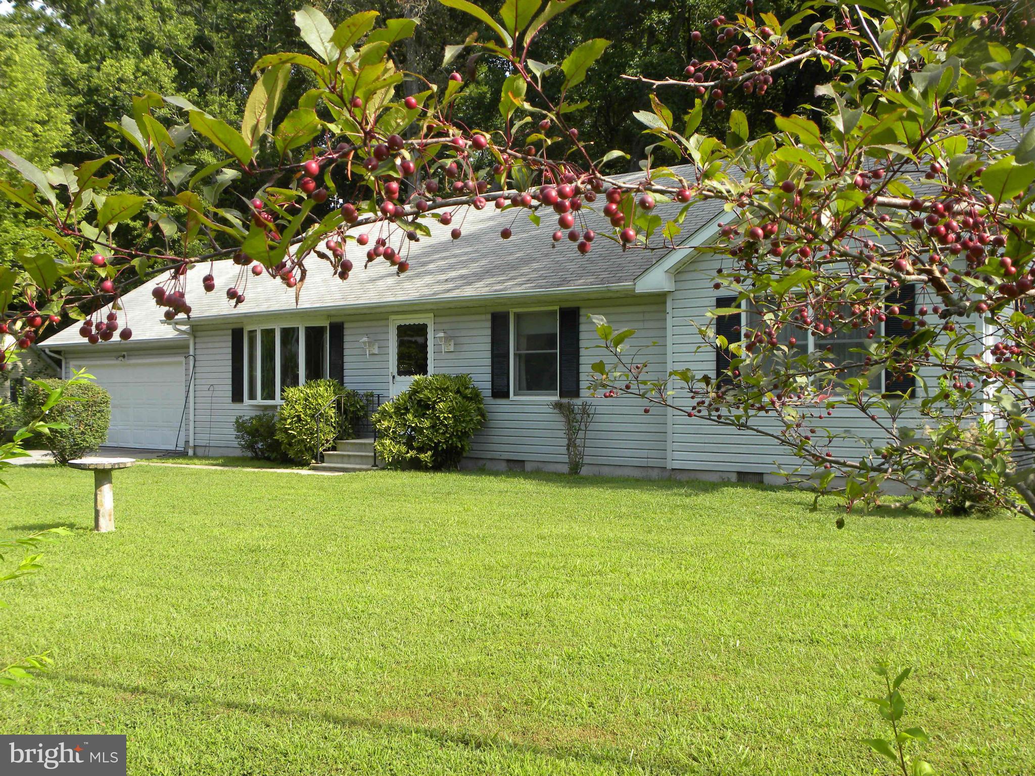 23480 Clarissa Road Chestertown, MD 21620 - Photo 1 of 22 Nicely landscaped, pretty front yard