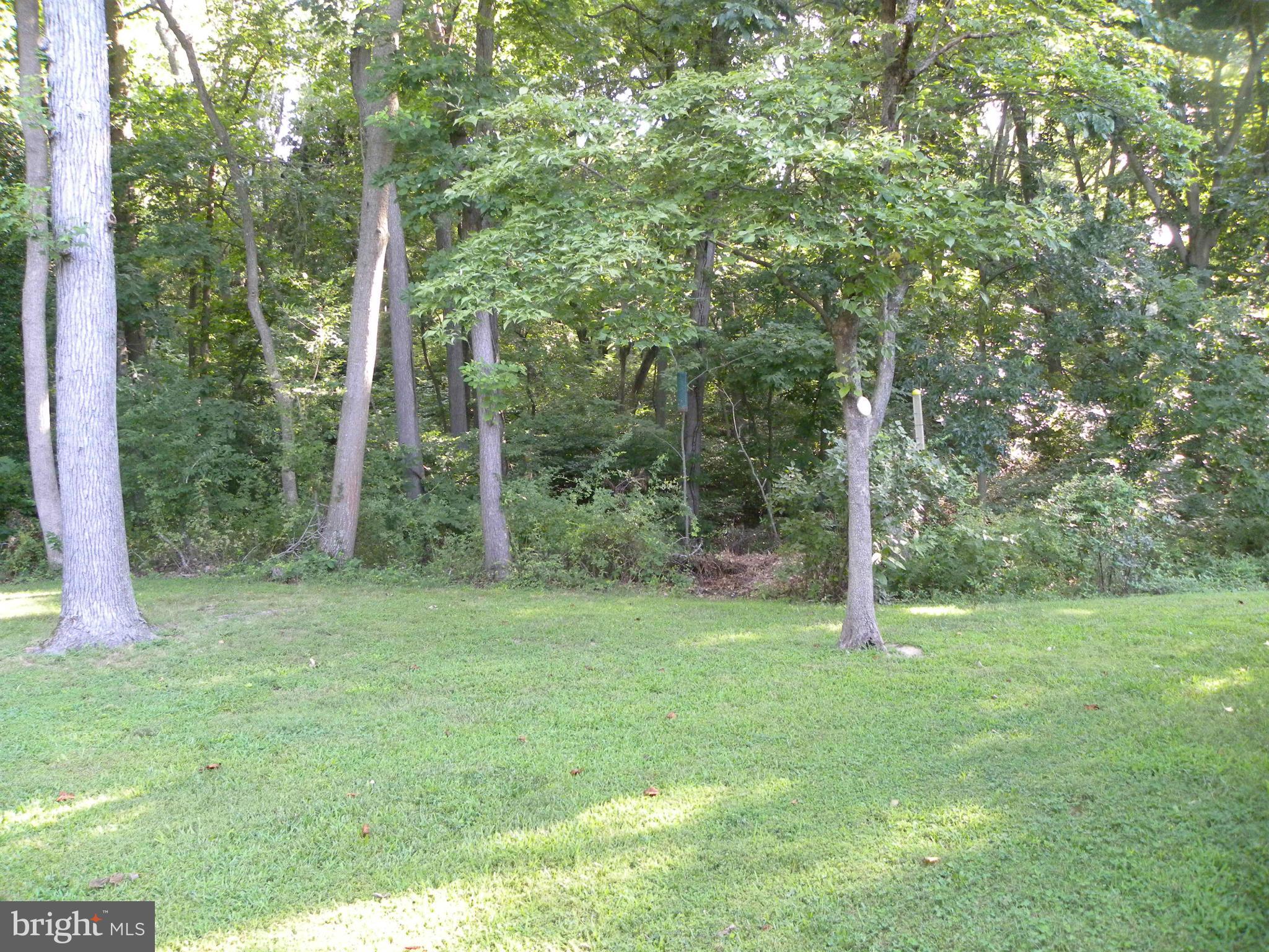 23480 Clarissa Road Chestertown, MD 21620 - Photo 9 of 22 Backs to trees