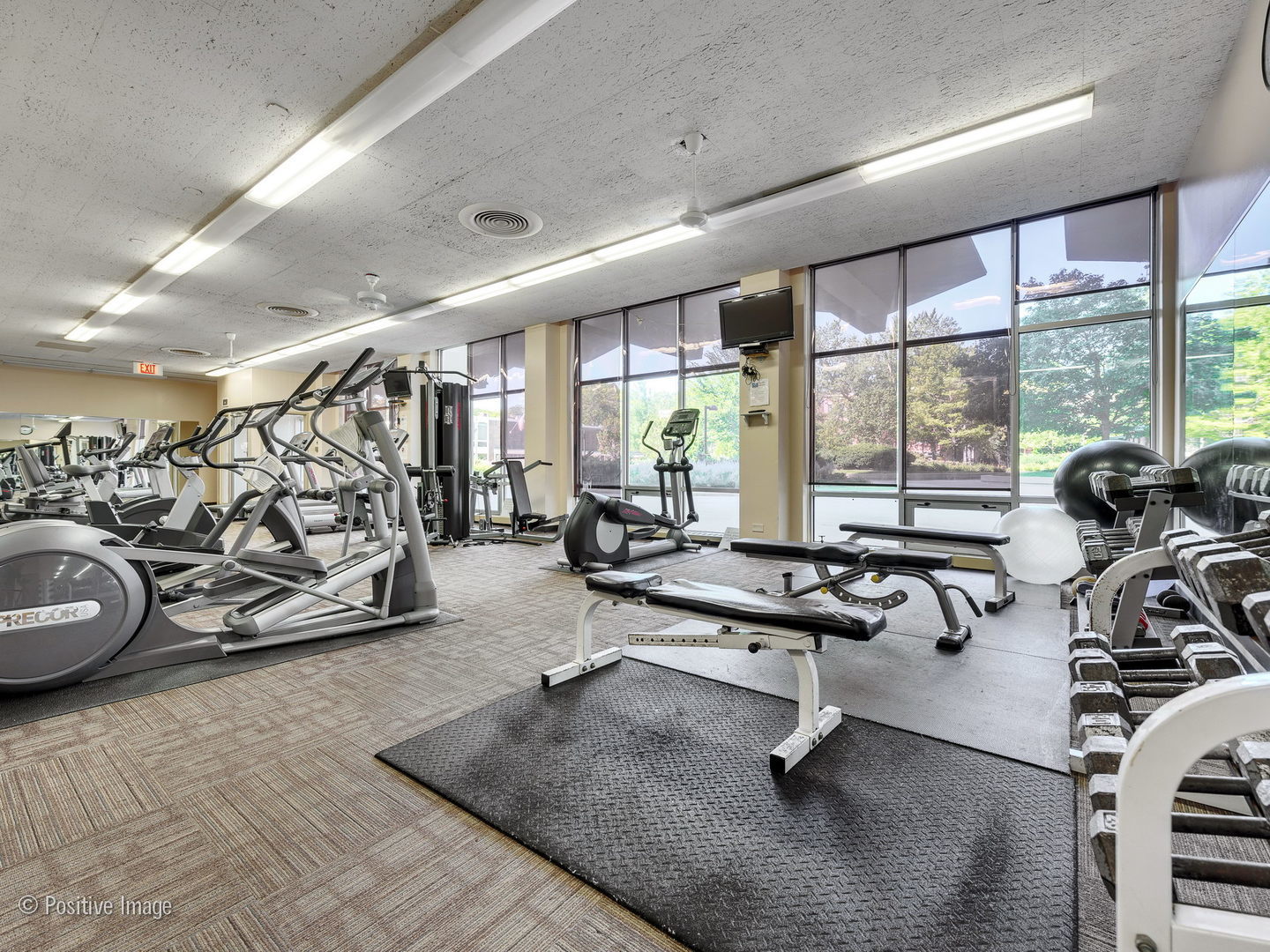 1455 North Sandburg Terrace, Unit 2901B Chicago, IL 60610 - Photo 28 of 42 a room with gym equipment and floor to ceiling window