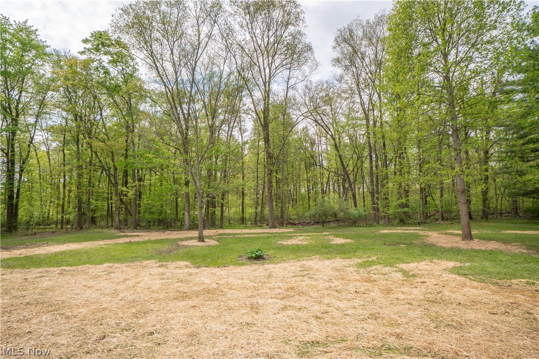 7148 Chatham Road Medina, OH 44256 - Photo 45 of 48