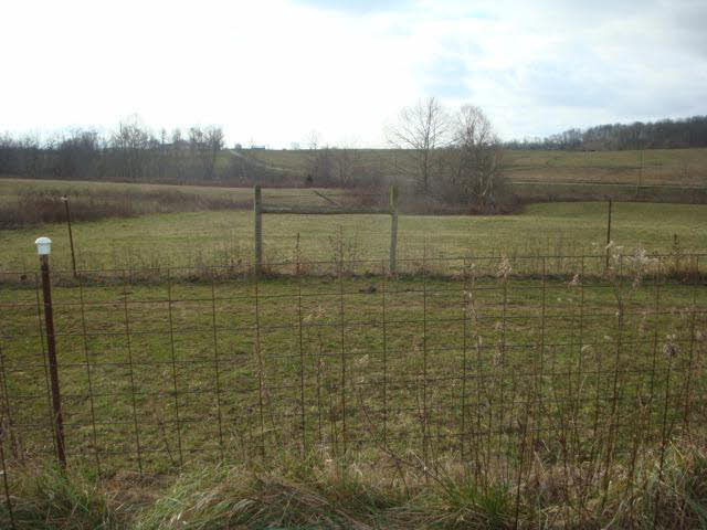 2304 South Cauble Road Salem, IN 47167 - Photo 24 of 36