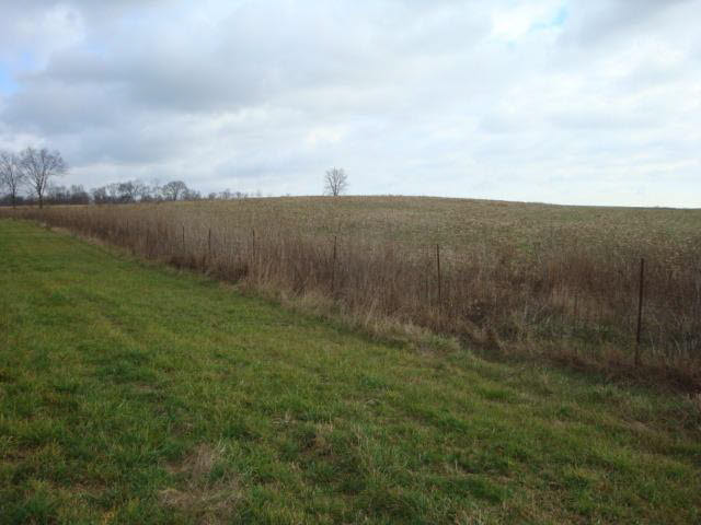 2304 South Cauble Road Salem, IN 47167 - Photo 26 of 36