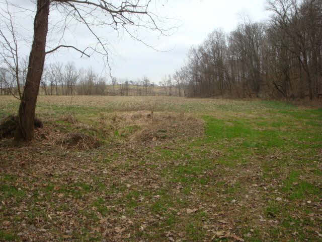 2304 South Cauble Road Salem, IN 47167 - Photo 34 of 36