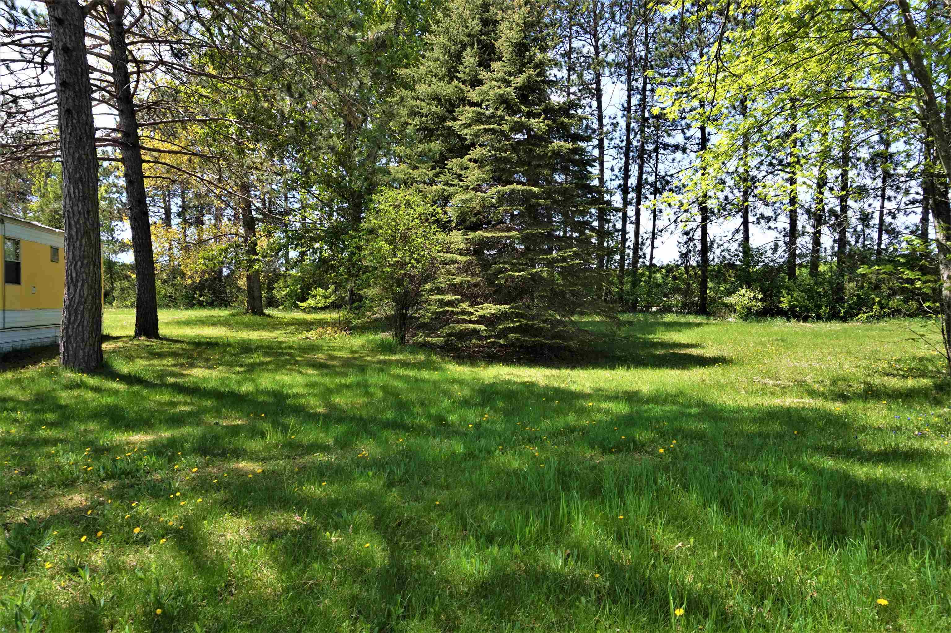 4920 Corey Road Mancelona, MI 49659 - Photo 6 of 22 1900660-5.JPG