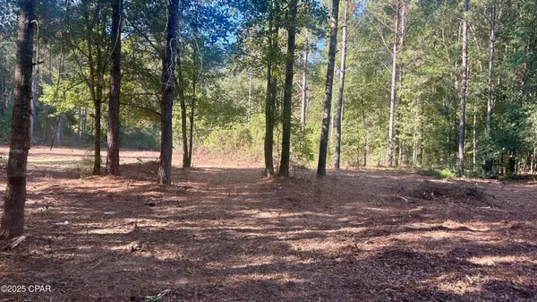 $69,900 | 0 Flowersview Boulevard, Laurel Hill, FL 32567