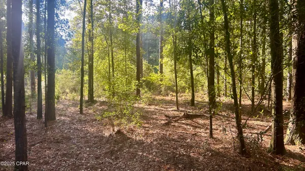 $69,900 | 0 Flowersview Boulevard, Laurel Hill, FL 32567