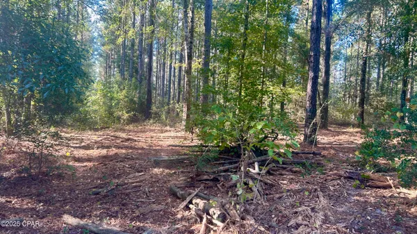 $69,900 | 0 Flowersview Boulevard, Laurel Hill, FL 32567
