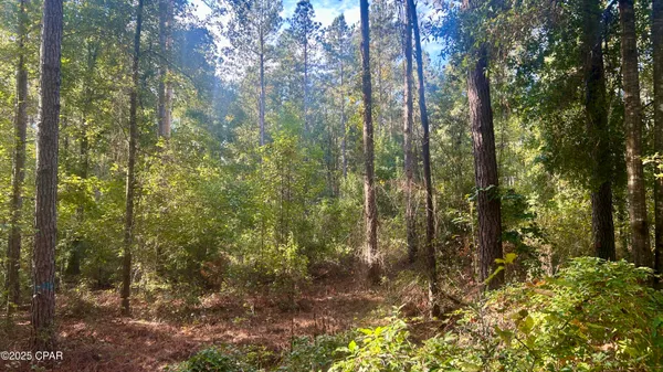 $69,900 | 0 Flowersview Boulevard, Laurel Hill, FL 32567