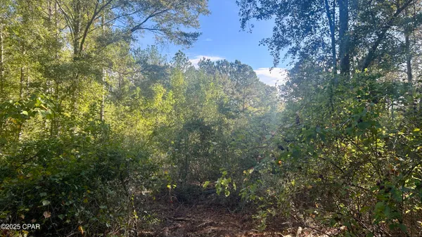$69,900 | 0 Flowersview Boulevard, Laurel Hill, FL 32567