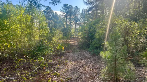 $69,900 | 0 Flowersview Boulevard, Laurel Hill, FL 32567