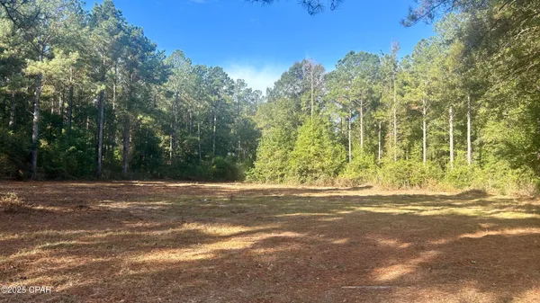 $69,900 | 0 Flowersview Boulevard, Laurel Hill, FL 32567