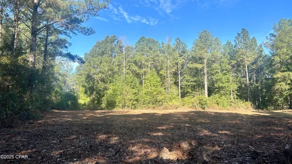 $69,900 | 0 Flowersview Boulevard, Laurel Hill, FL 32567
