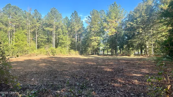 $69,900 | 0 Flowersview Boulevard, Laurel Hill, FL 32567