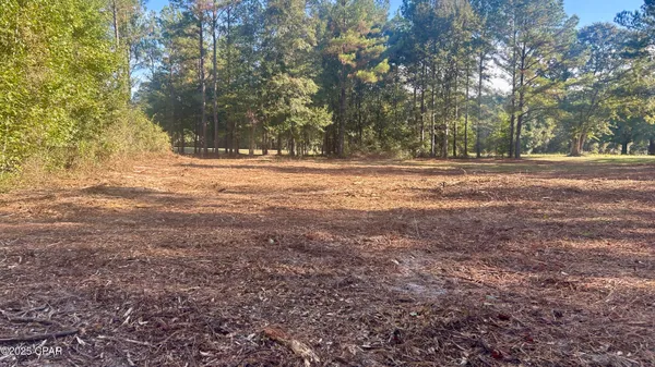 $69,900 | 0 Flowersview Boulevard, Laurel Hill, FL 32567