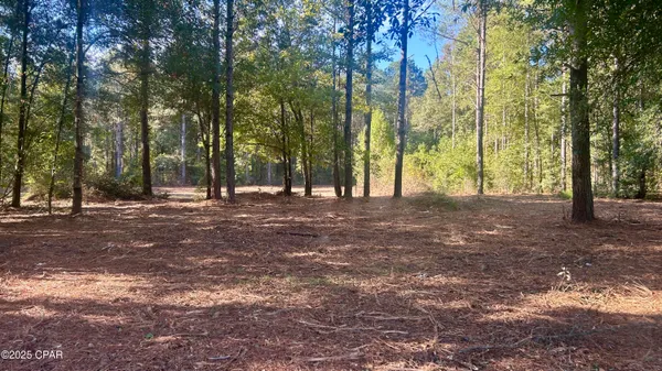 $69,900 | 0 Flowersview Boulevard, Laurel Hill, FL 32567