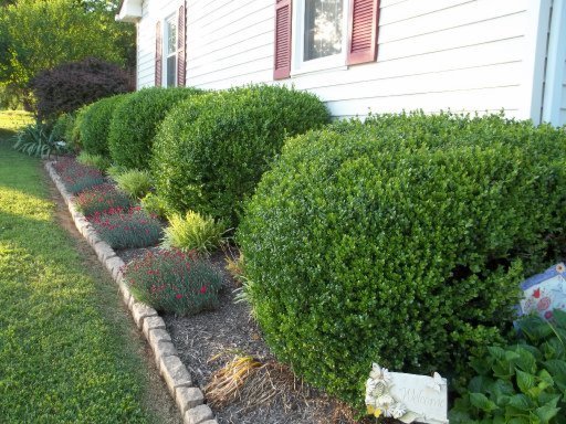 134 Big Valley Road Andersonville, TN 37705 - Photo 3 of 20 Additional Photo