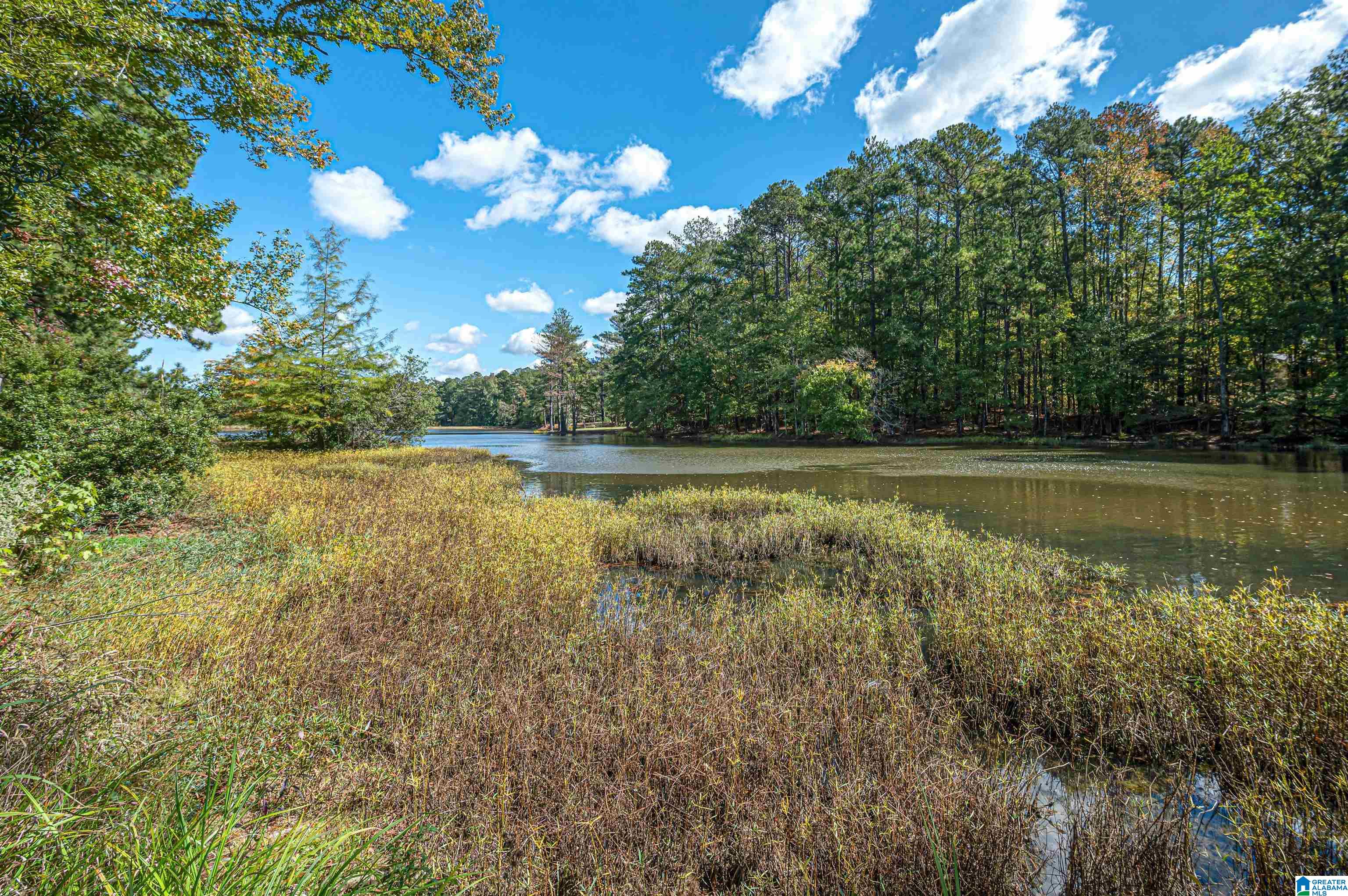 7490 Alice Road McCalla, AL 35111 - Photo 22 of 66