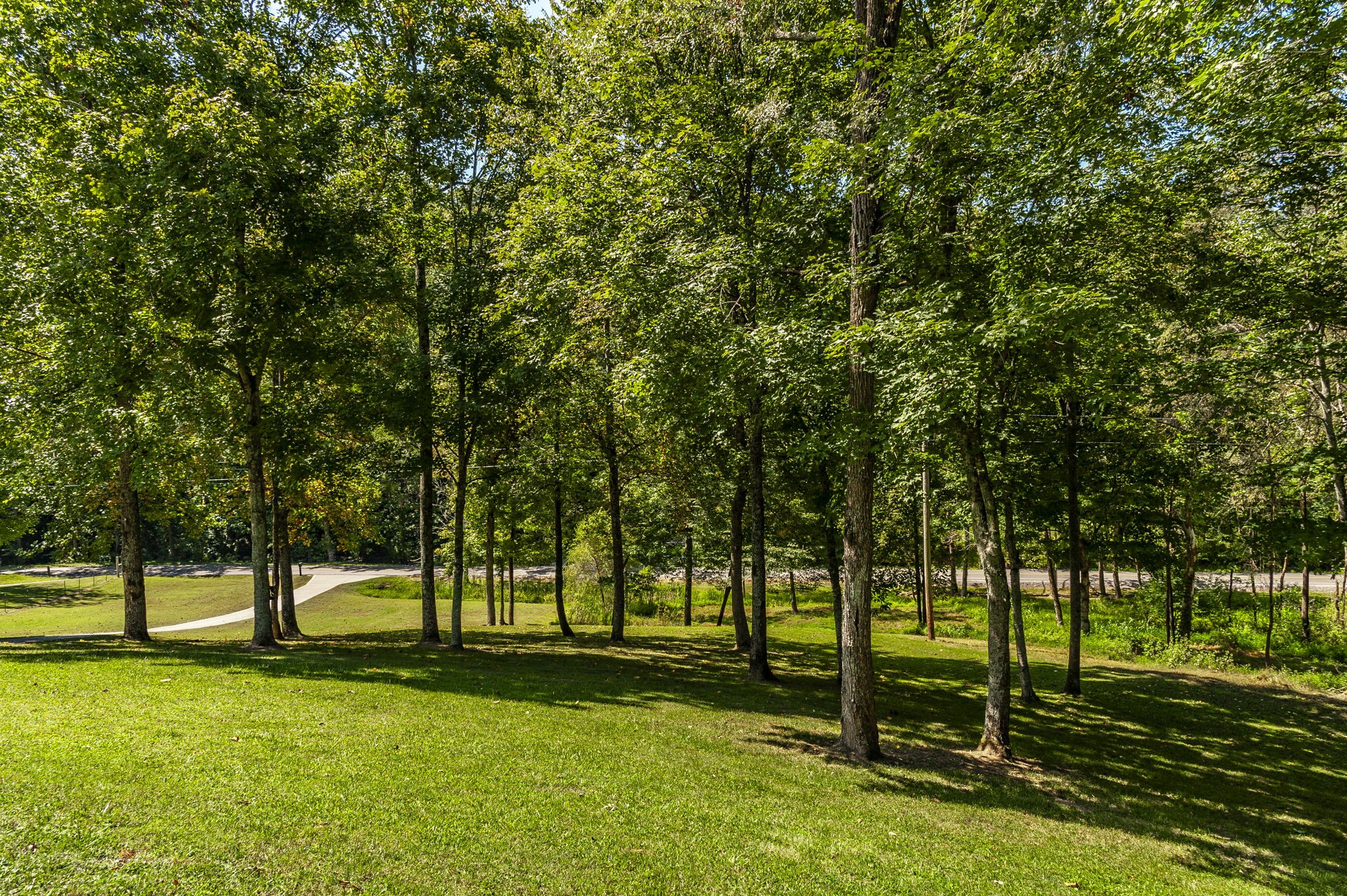 1850 Garrison Branch Road Cottontown, TN 37048 - Photo 8 of 68 Gallery Image 8