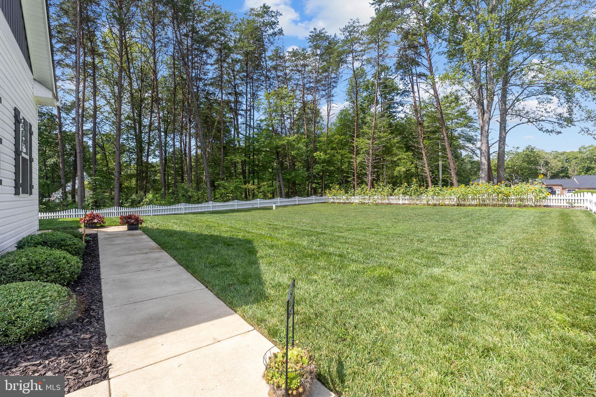 3301 Flat Run Road Locust Grove, VA 22508 - Photo 50 of 53 Walk way