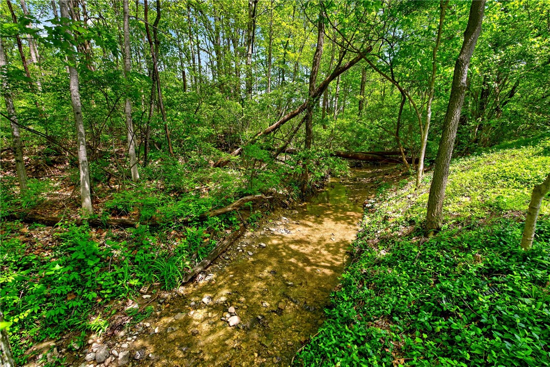7399 Highway 48 Springboro, OH 45066 - Photo 46 of 53