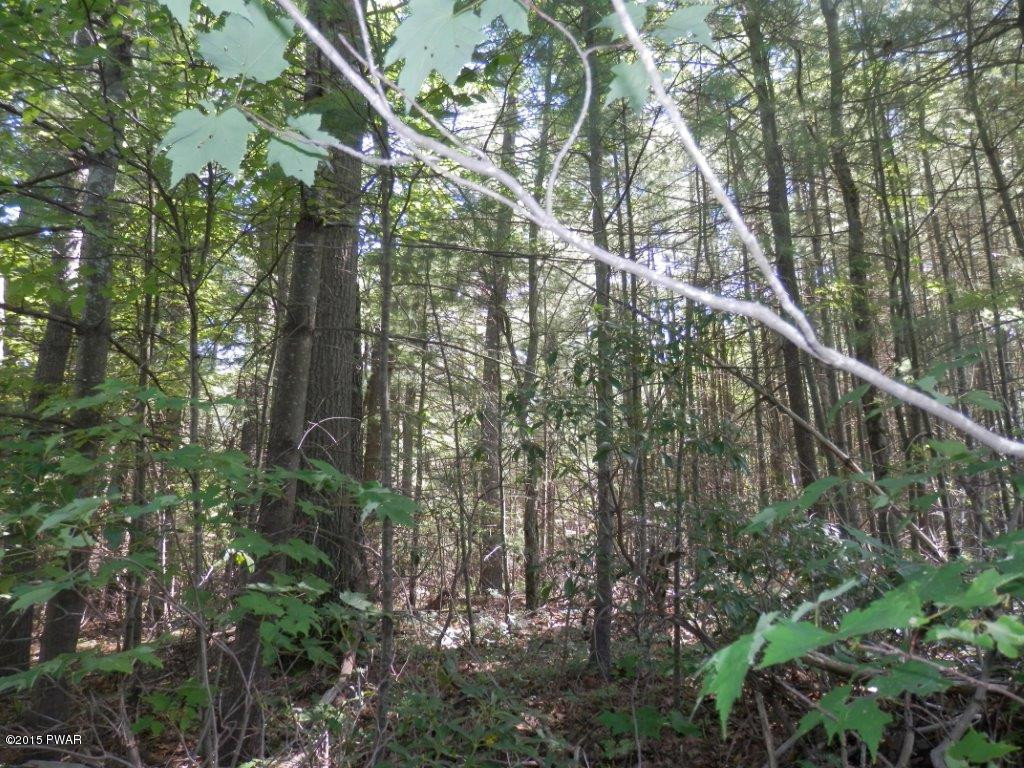 Frenchtown Road Milford, PA 18337 - Photo 2 of 5 P7231666