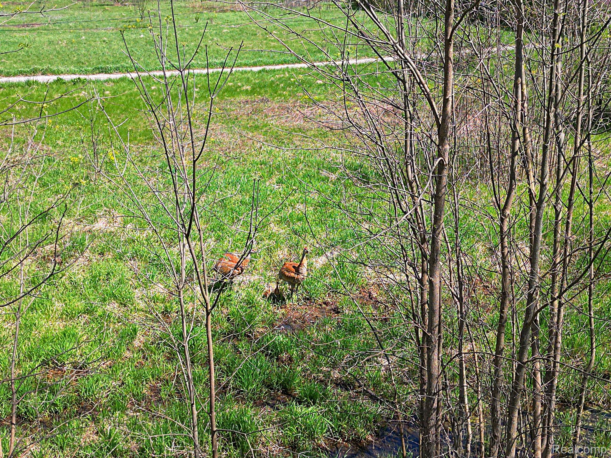 7655 Wheeler Road Whitmore Lake, MI 48189 - Photo 20 of 54 Gallery Image 20