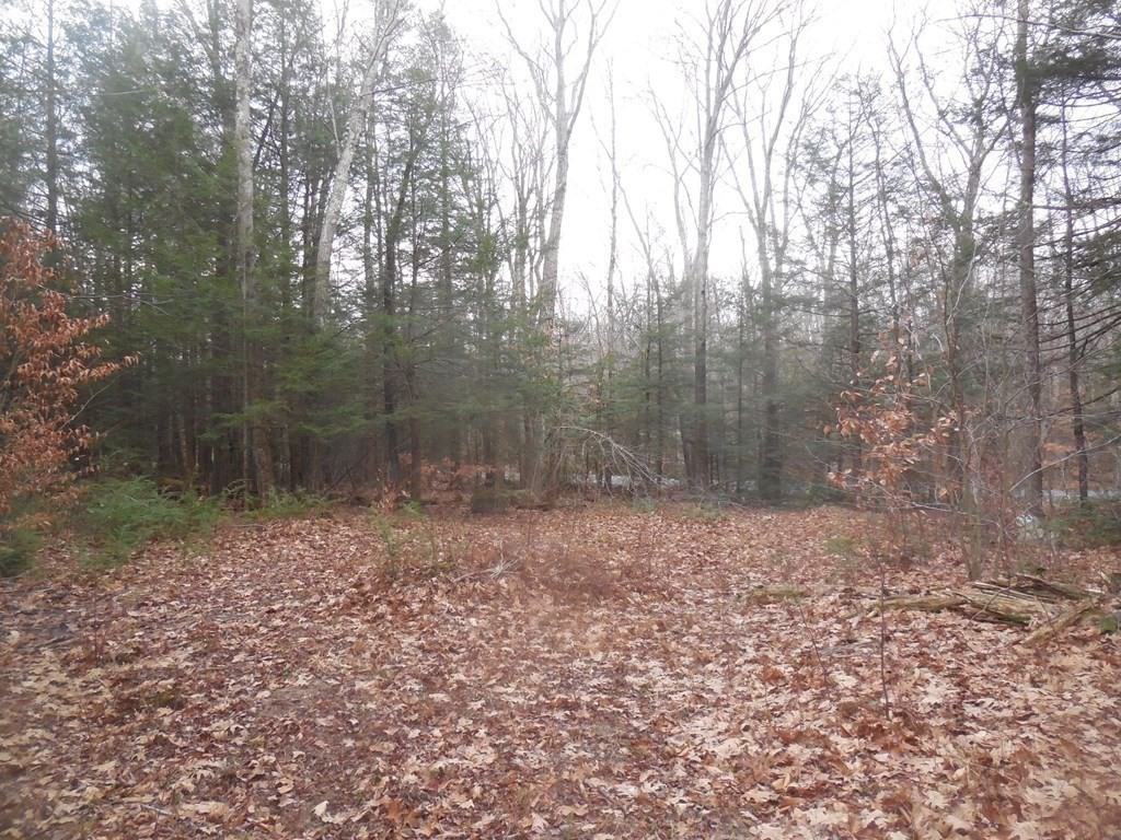 0 Beetle Road Tolland, MA 01034 - Photo 6 of 15 a view of a yard with trees in the background