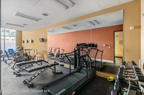 $1,395,000 | 361 Robinson Street, Unit 208, Basalt, CO 81621
