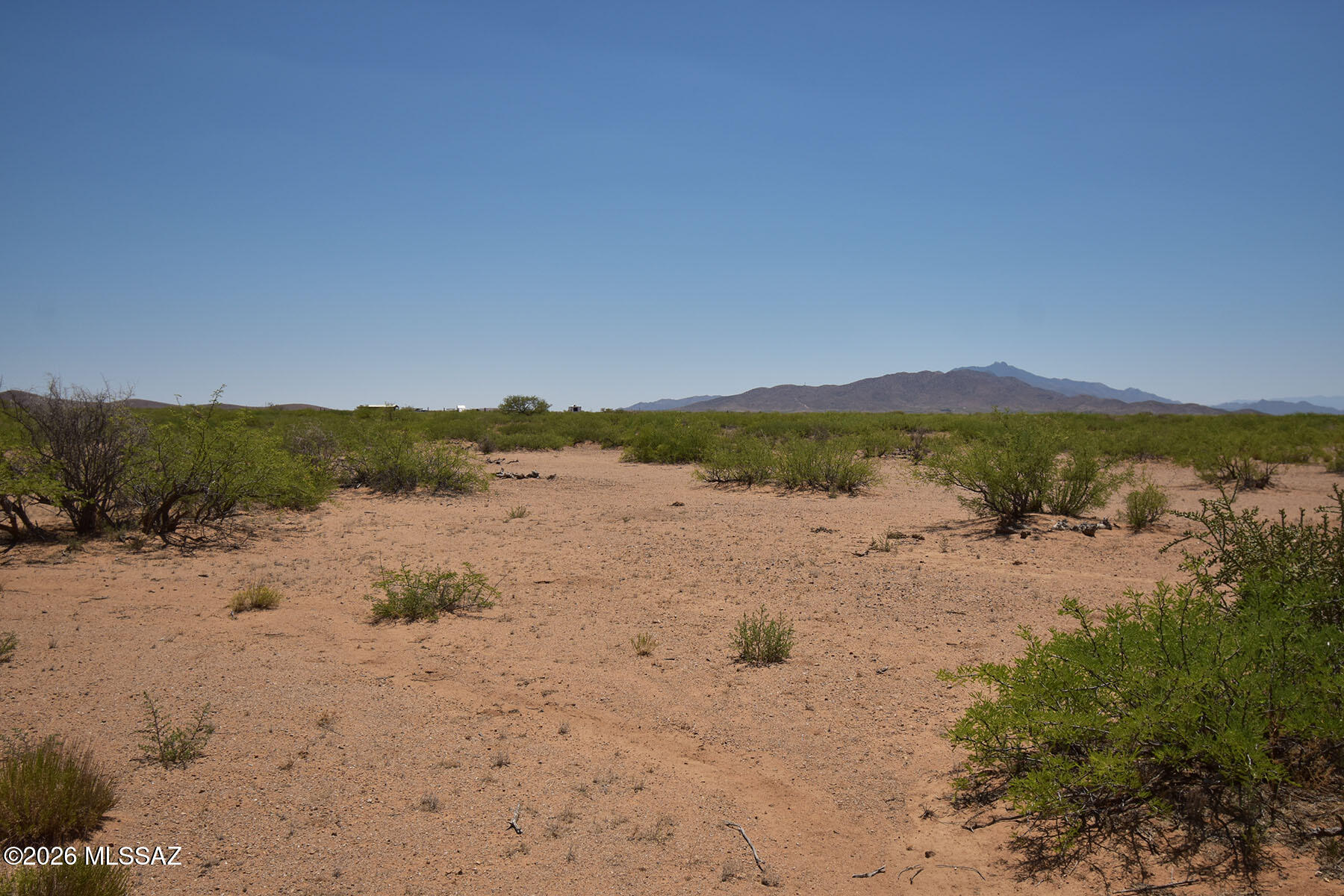 3-acres North Round Up Road, Unit 442 Willcox, AZ 85643 - Photo 11 of 18