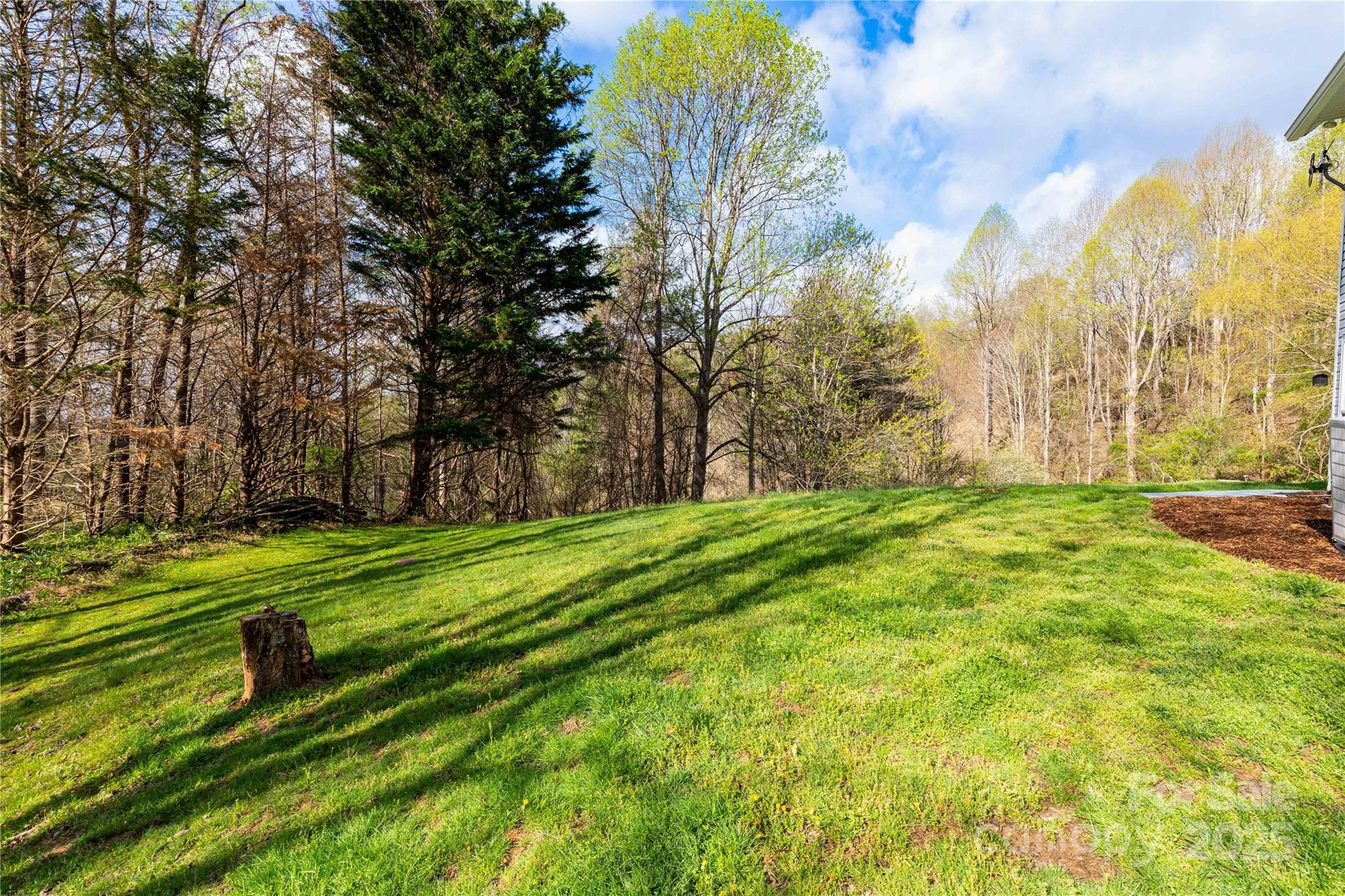 110 Red Fox Den Road Mars Hill, NC 28754 - Photo 17 of 33 Gallery Image 17