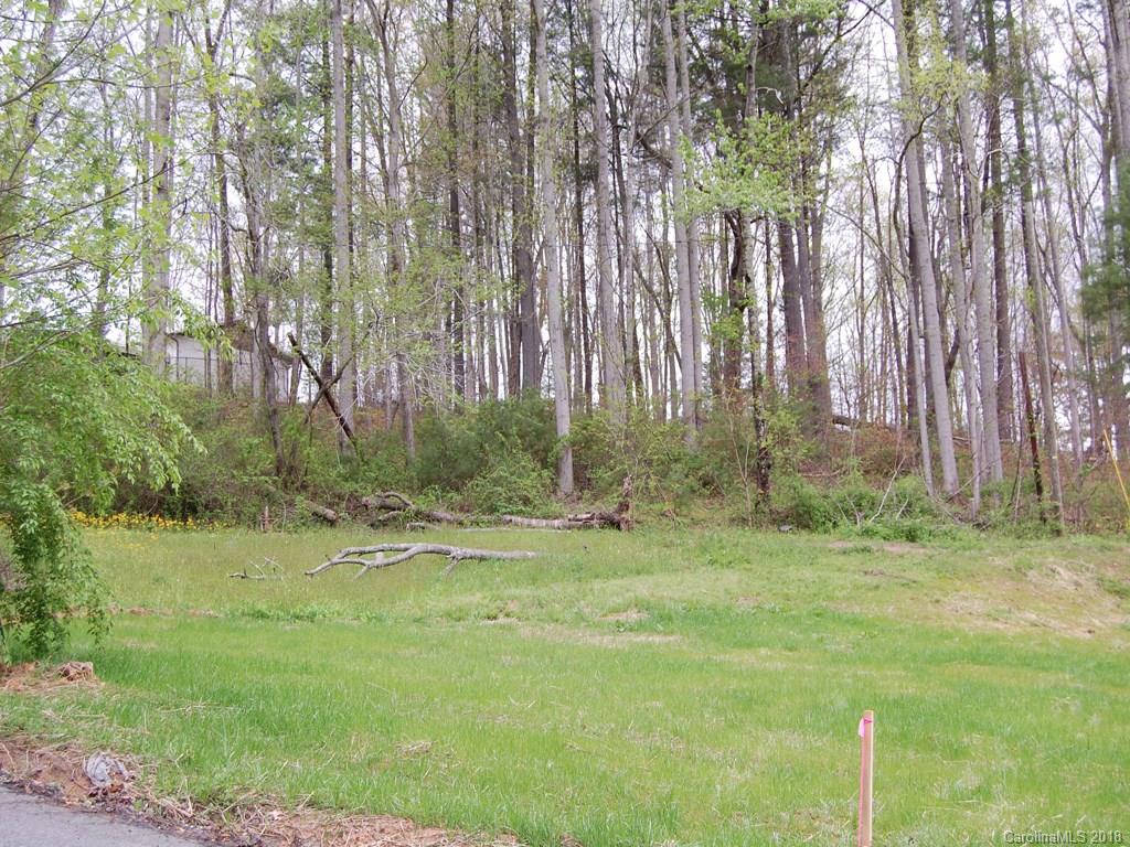 9999 Solomon Road Leicester, NC 28748 - Photo 1 of 4 Gallery Image 1