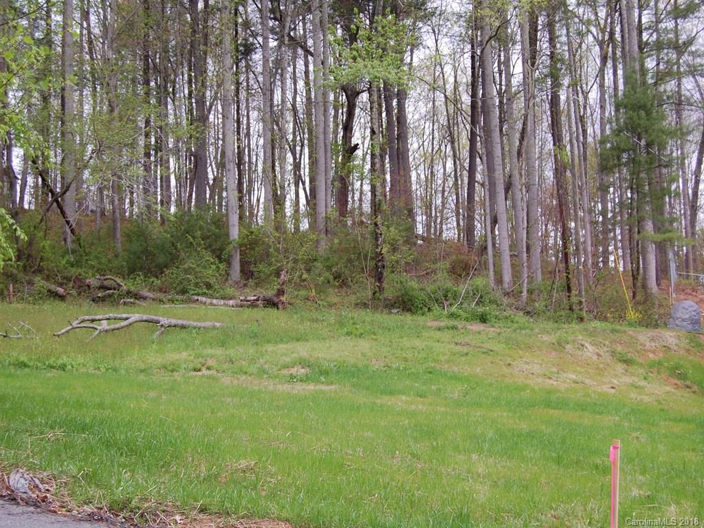 9999 Solomon Road Leicester, NC 28748 - Photo 2 of 4 Gallery Image 2