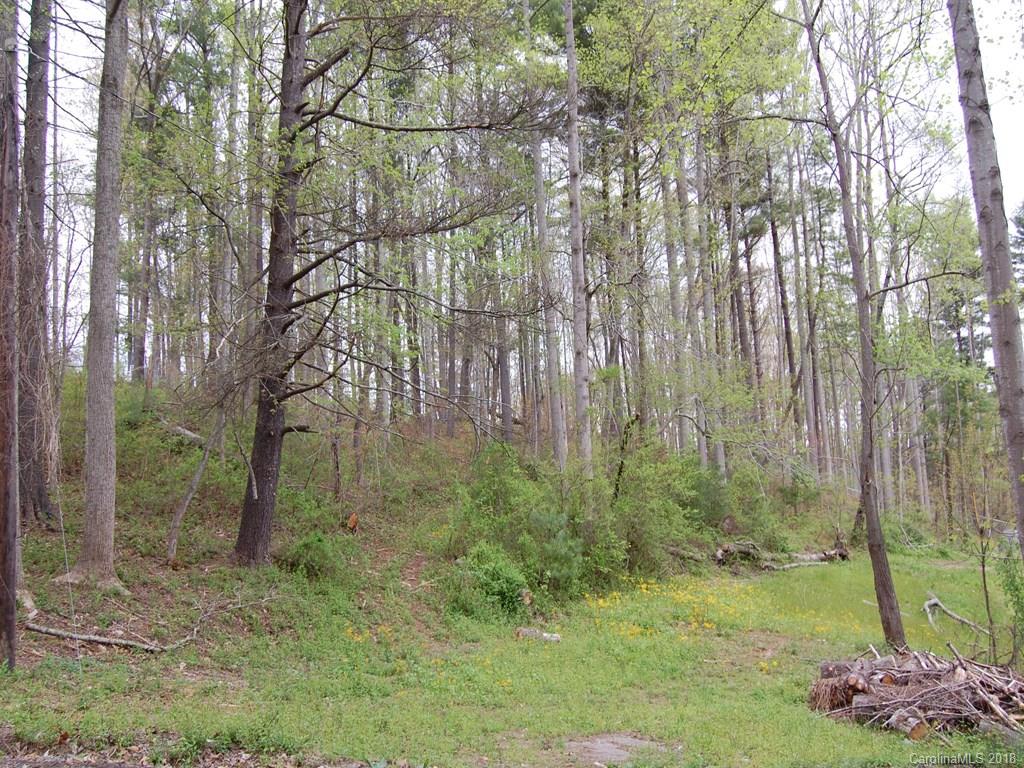 9999 Solomon Road Leicester, NC 28748 - Photo 3 of 4 Gallery Image 3