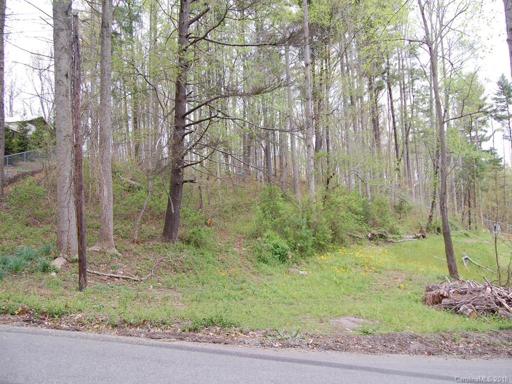 9999 Solomon Road Leicester, NC 28748 - Photo 4 of 4 Gallery Image 4