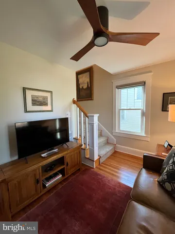 a small garden covered with tall trees