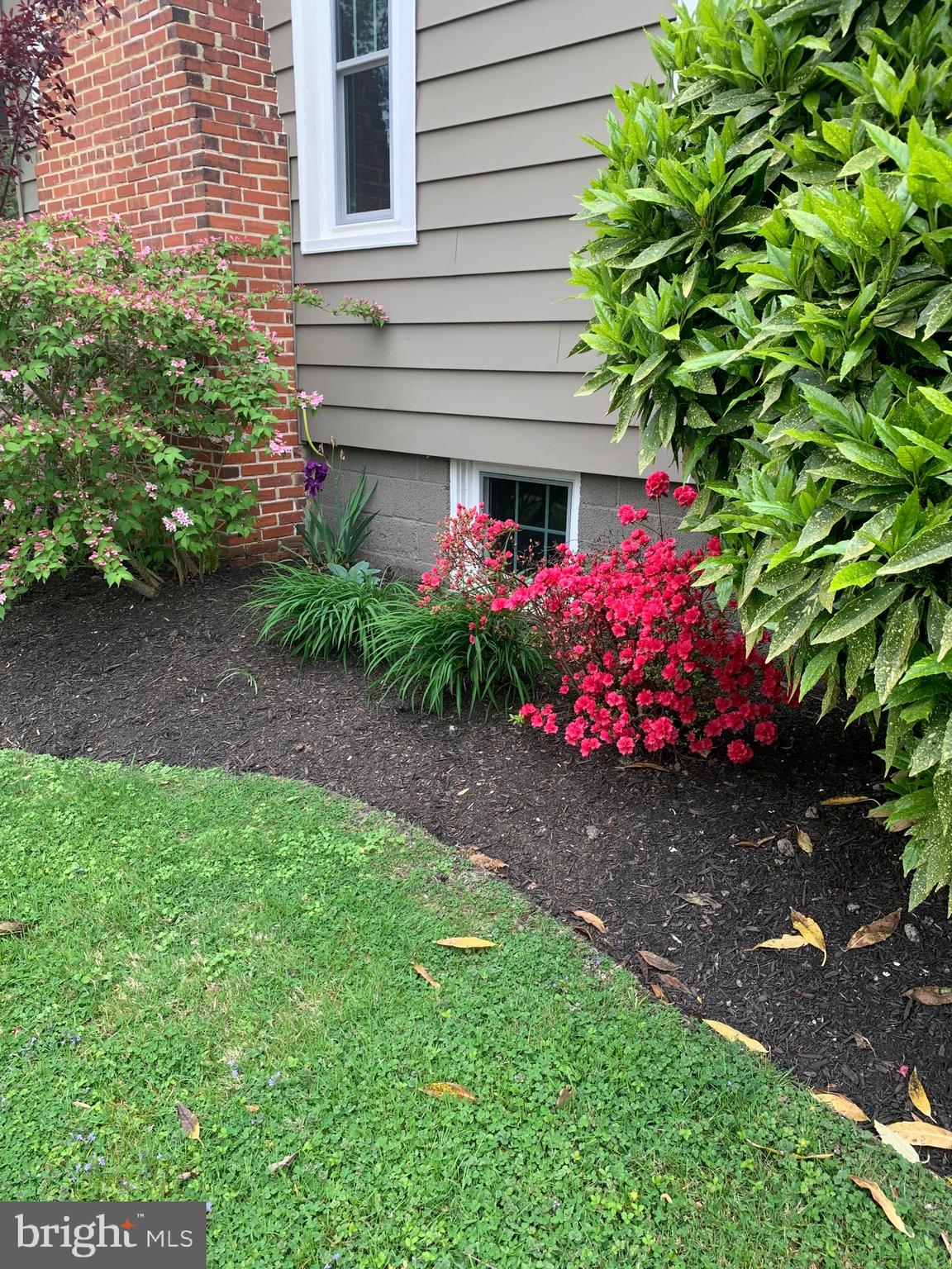 107 West Chestnut Street St. Michaels, MD 21663 - Photo 94 of 104